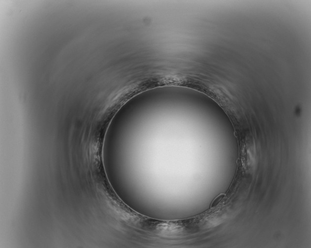 X0000089360714200706221200