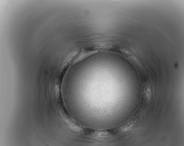 X0000089360716200706221200