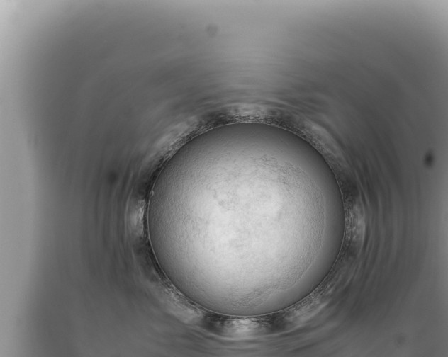 X0000089360717200706221200
