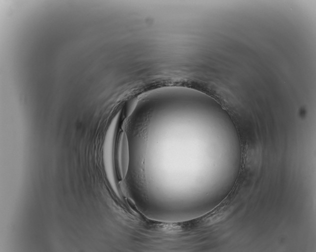 X0000089360719200706221200