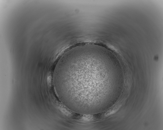X0000089360720200706221200