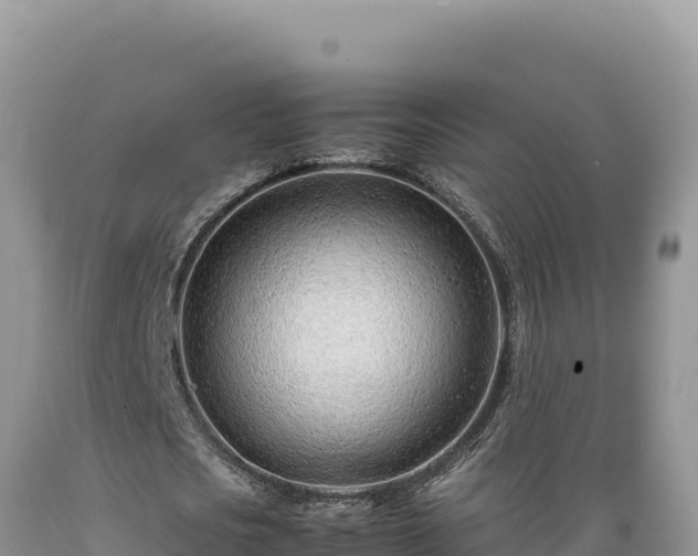 X0000089360721200706221159