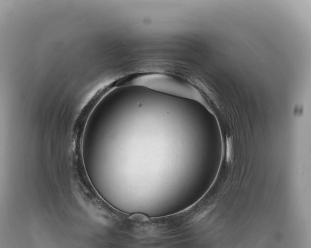 X0000089360723200706221159