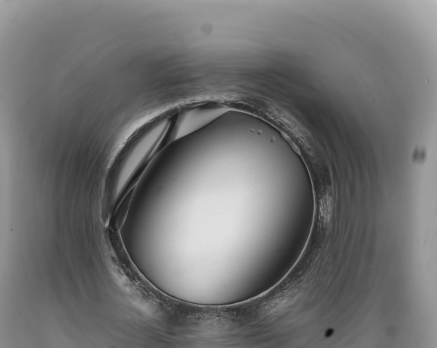 X0000089360724200706221159