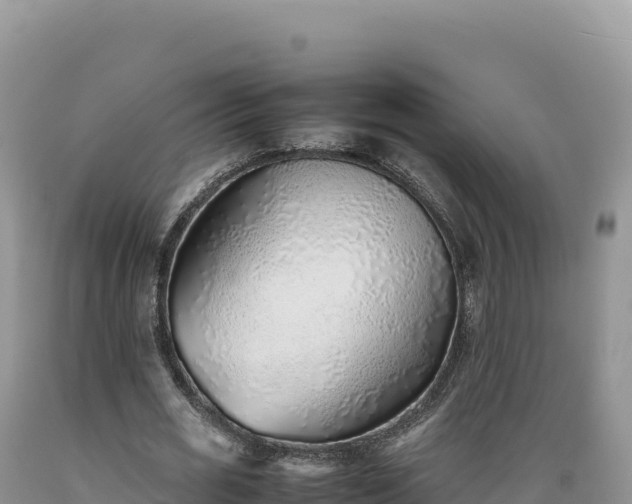 X0000089360725200706221159