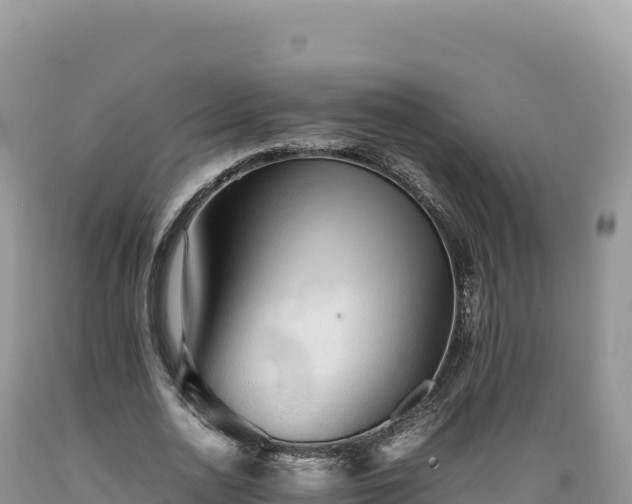X0000089360726200706221159