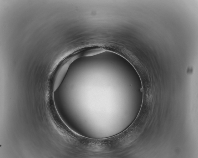 X0000089360728200706221159