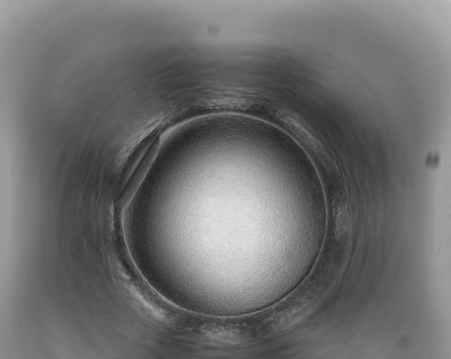 X0000089360729200706221159
