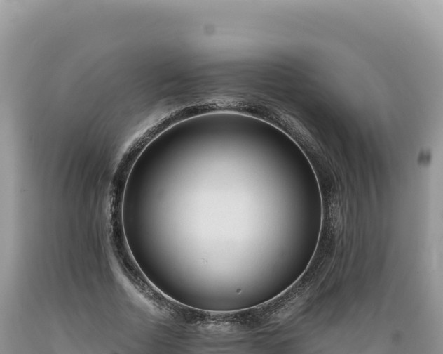 X0000089360730200706221159