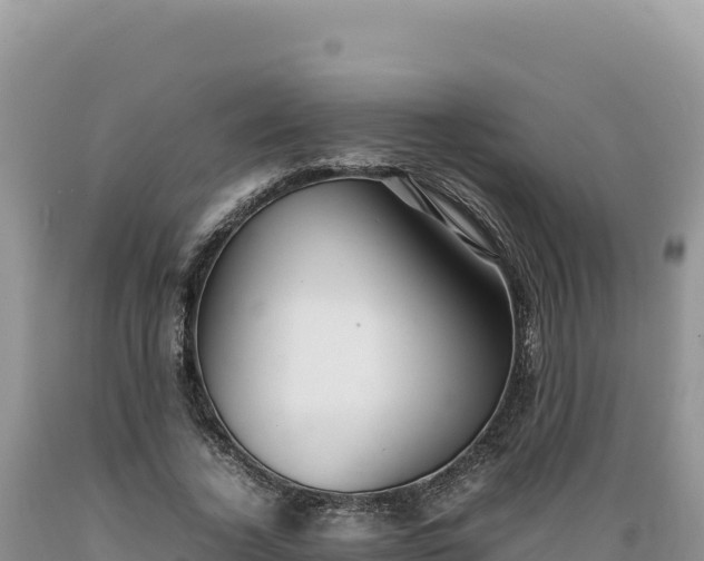 X0000089360732200706221159