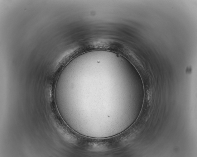 X0000089360733200706221159