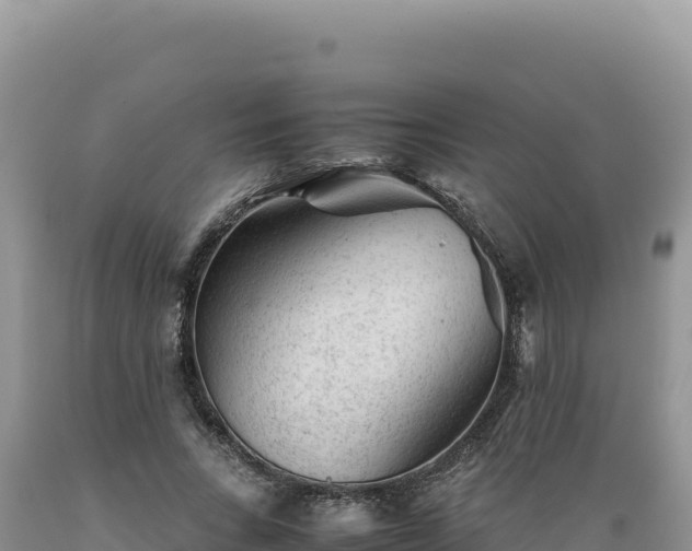 X0000089360735200706221159