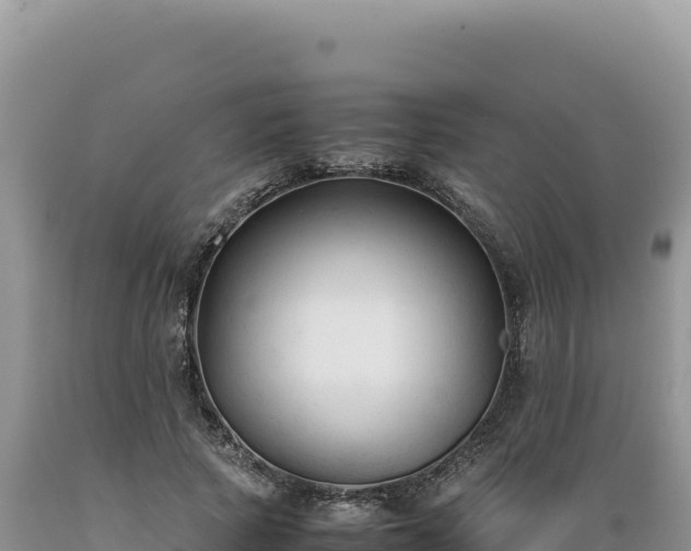 X0000089360737200706221159