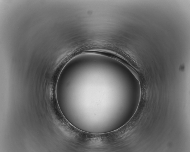 X0000089360740200706221159