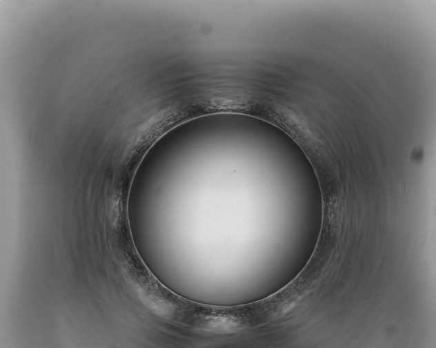 X0000089360741200706221159