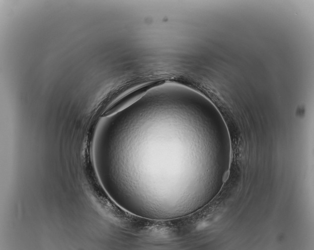 X0000089360742200706221159