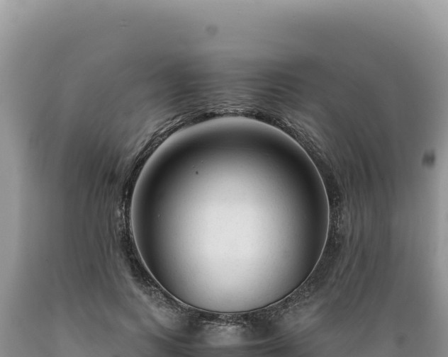 X0000089360743200706221159