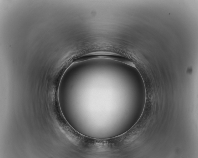 X0000089360744200706221159
