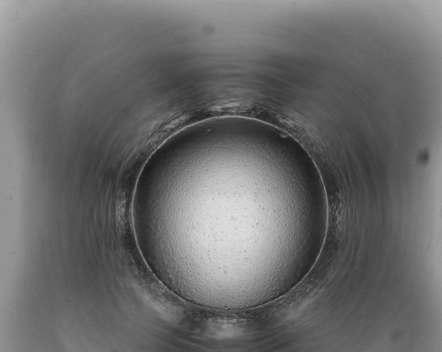 X0000089360745200706221159