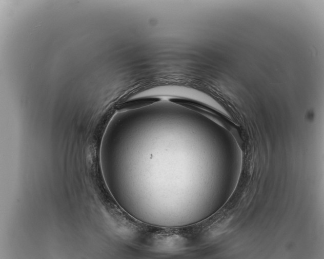 X0000089360747200706221159