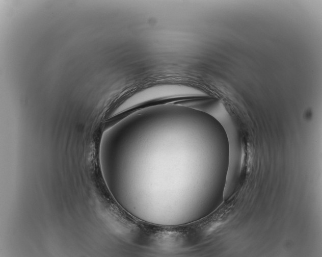 X0000089360748200706221200