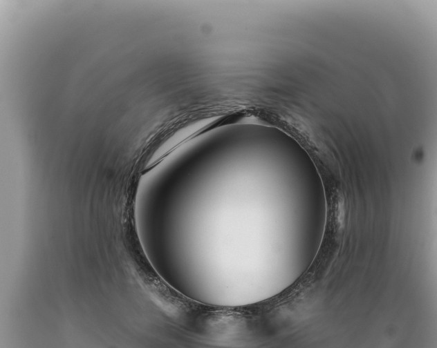 X0000089360750200706221200