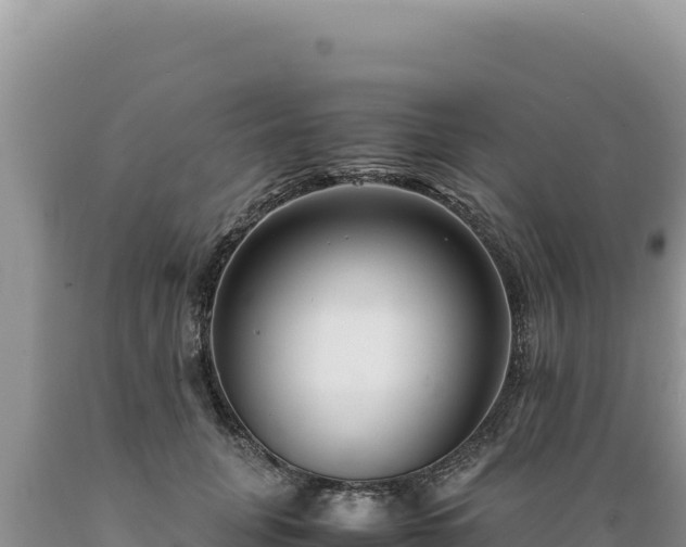 X0000089360751200706221200