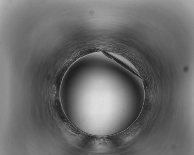 X0000089360752200706221200