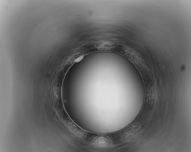 X0000089360755200706221200