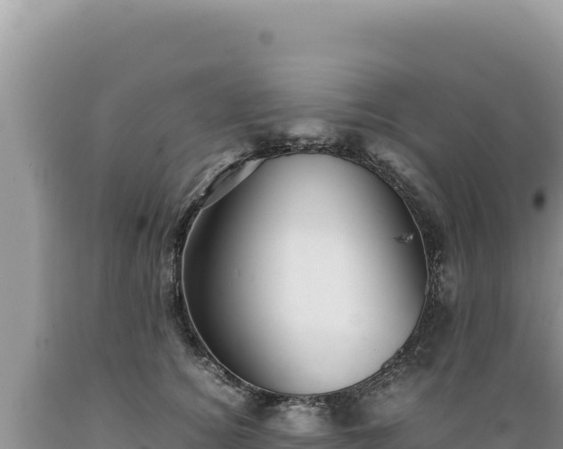 X0000089360756200706221200