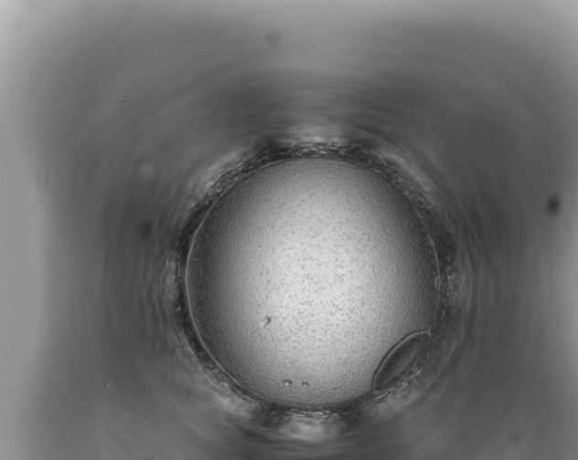 X0000089360757200706221200
