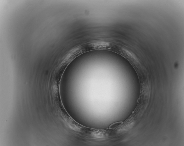 X0000089360761200706221200