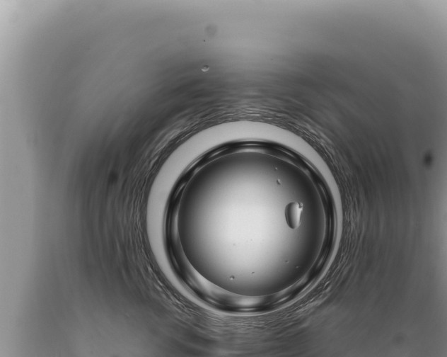X0000089360762200706221200
