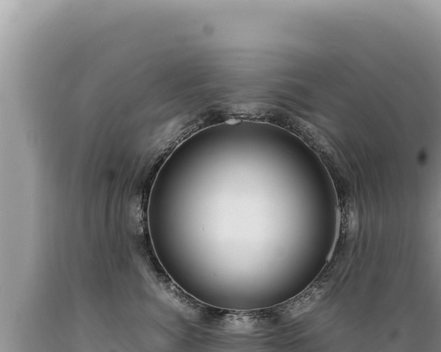X0000089360764200706221200