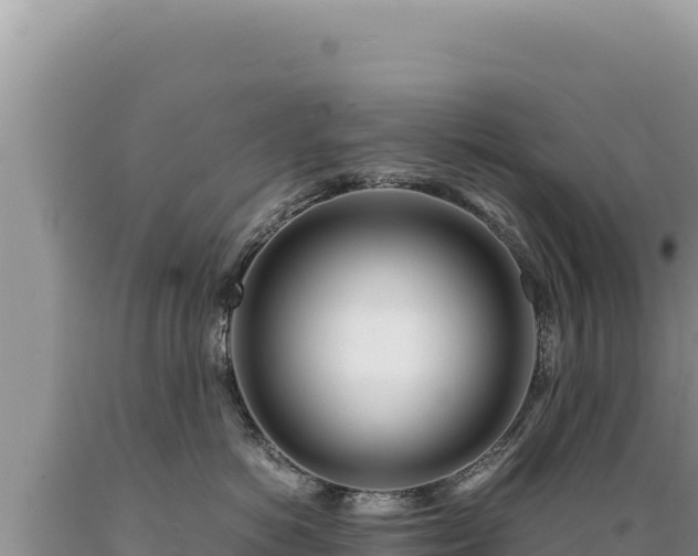 X0000089360766200706221200