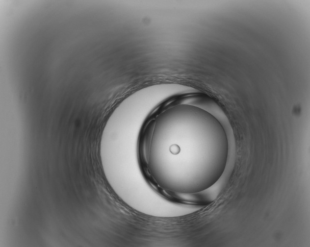 X0000089360768200706221200