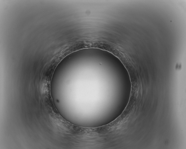 X0000089360770200706221159