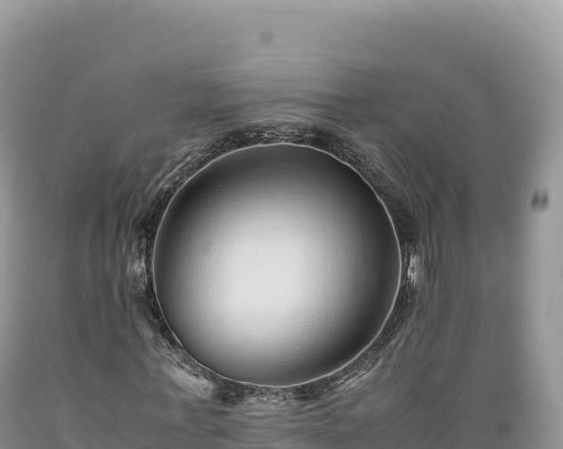 X0000089360771200706221159