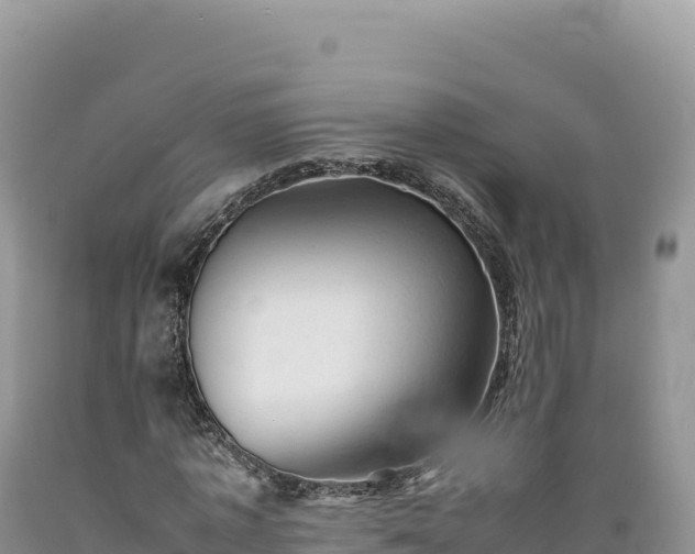 X0000089360773200706221159