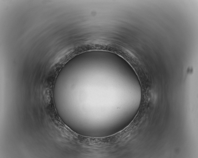 X0000089360774200706221159