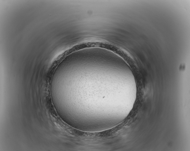 X0000089360775200706221159