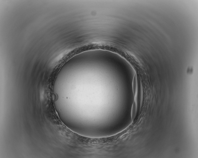 X0000089360776200706221159