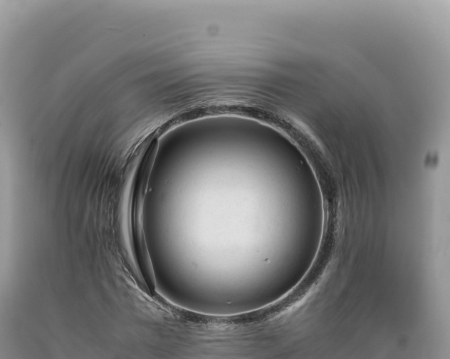 X0000089360777200706221159