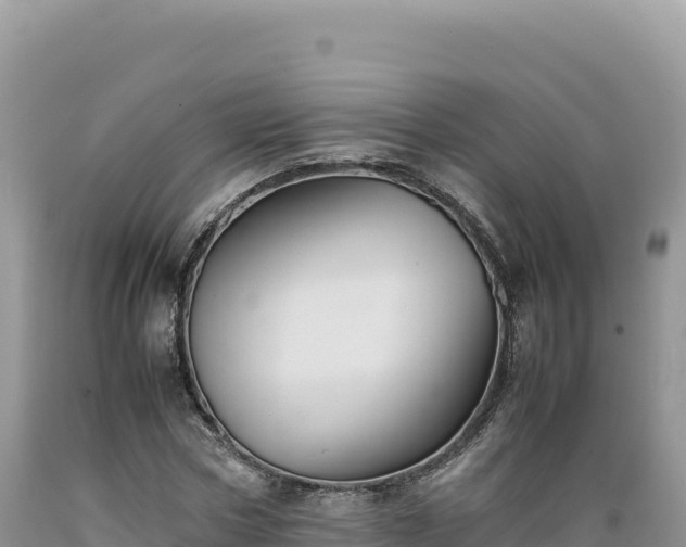 X0000089360778200706221159