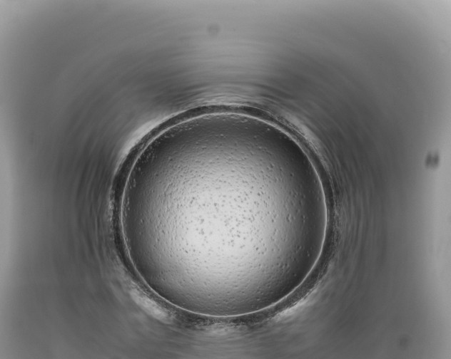 X0000089360779200706221159