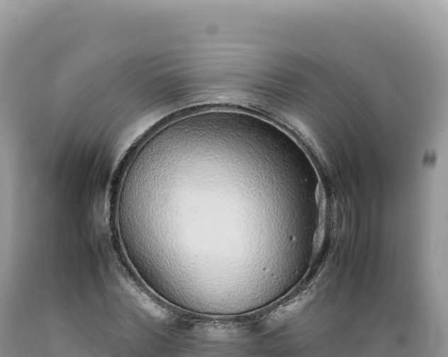 X0000089360780200706221159