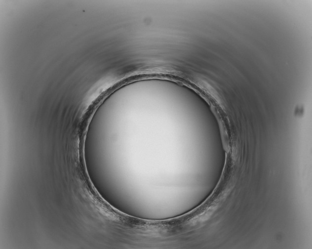 X0000089360781200706221159