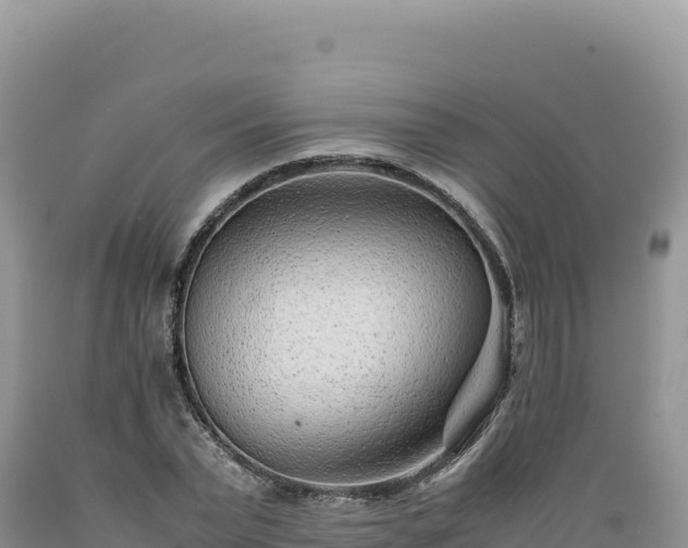 X0000089360783200706221159