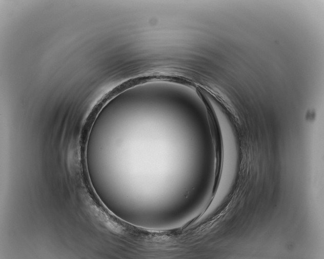 X0000089360784200706221159