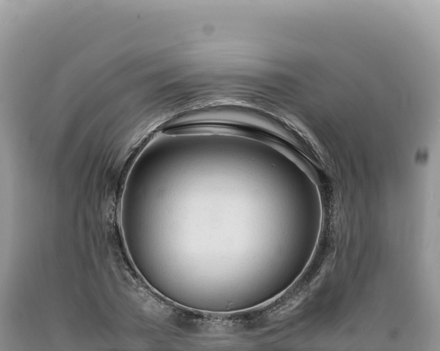 X0000089360785200706221159